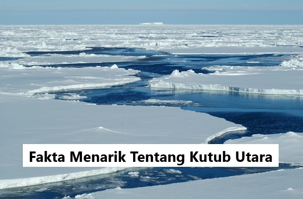 Fakta Menarik Tentang Kutub Utara